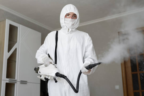 Best Mold Prevention Services in Hilton, NY