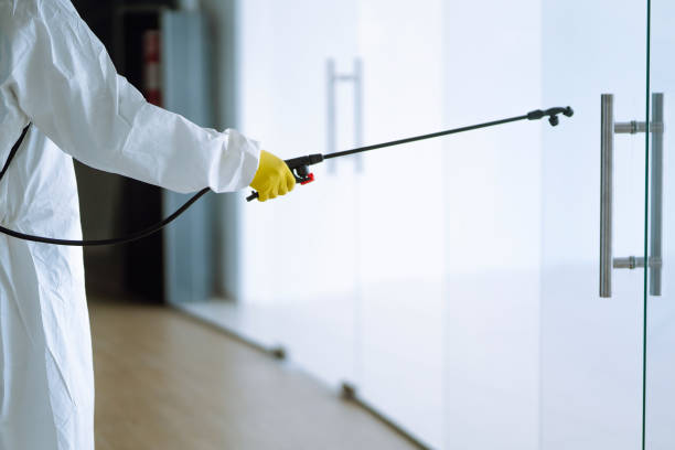 Reliable Hilton, NY Mold Removal Solutions